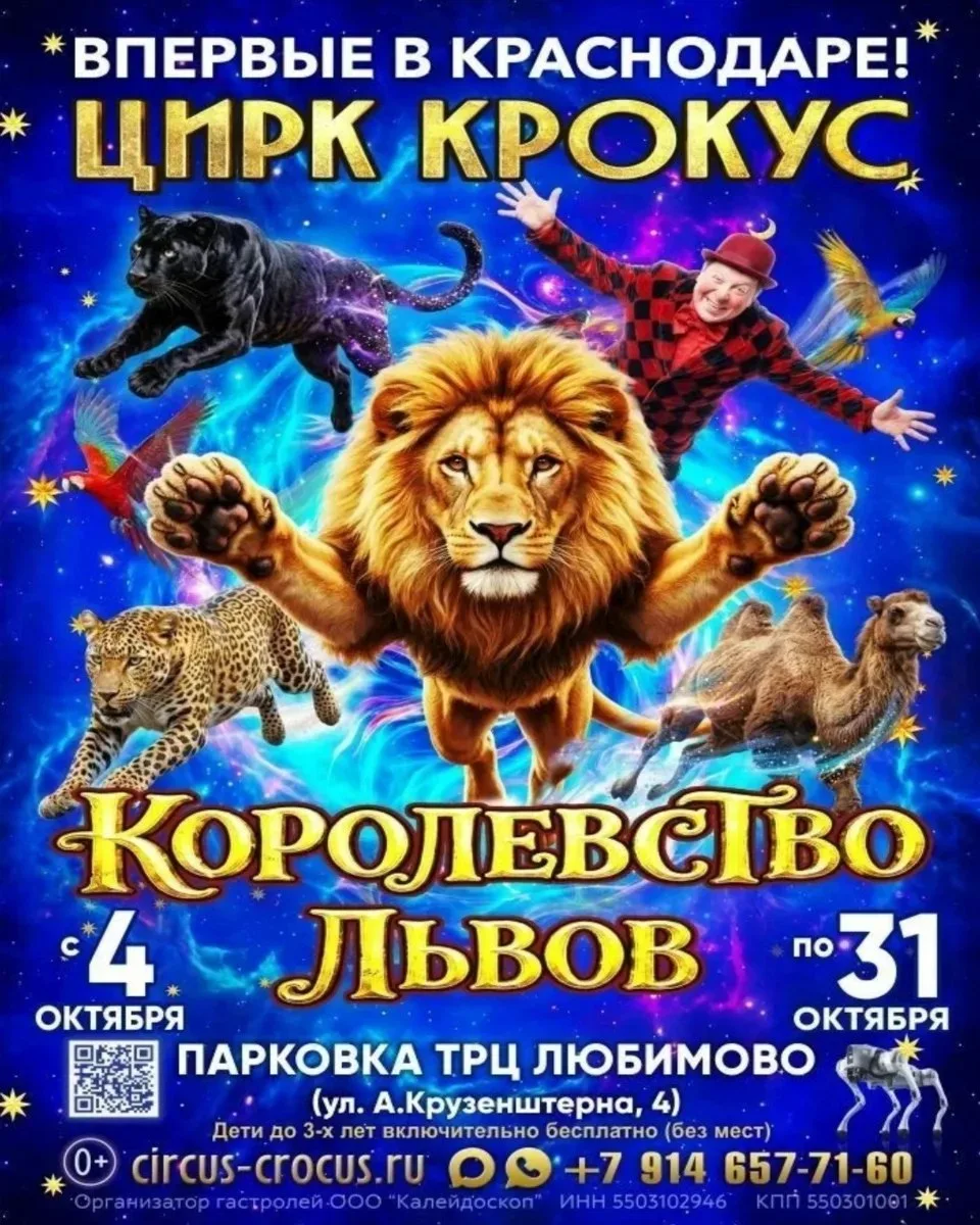 10 октября в 13:00 и 17:00, 11 октября в 13:00