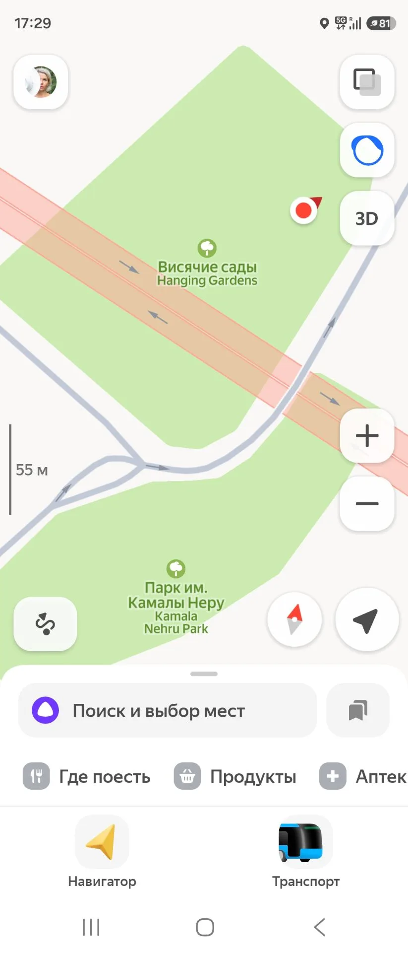 Это мы не в том парке)