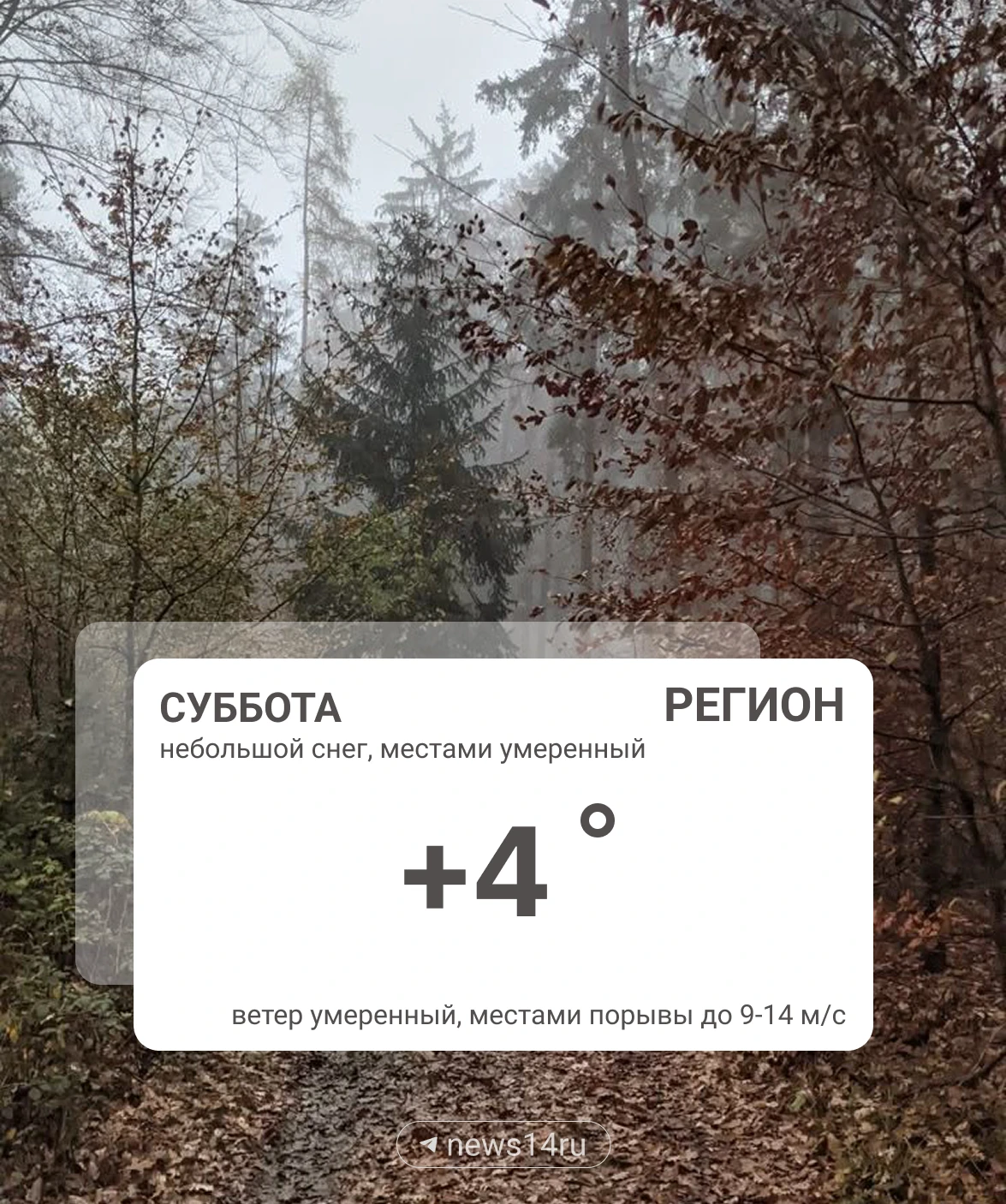 Погода 10 октября.