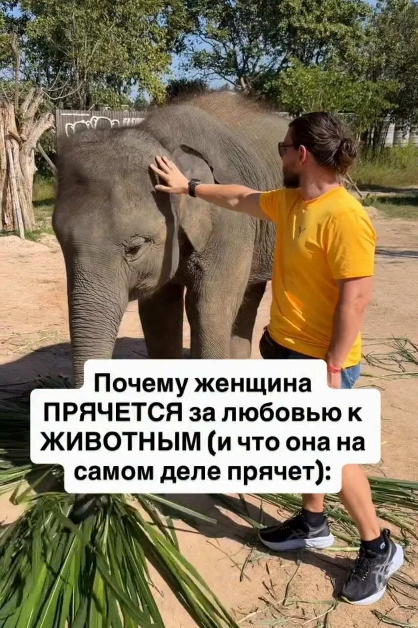 Читай описание ⤵