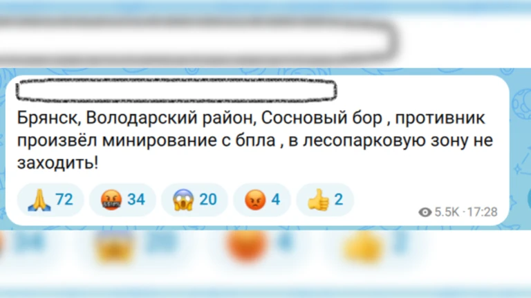 😱 Фейками о минировании Соснового Бора с дрона ВСУ напугали брянцев