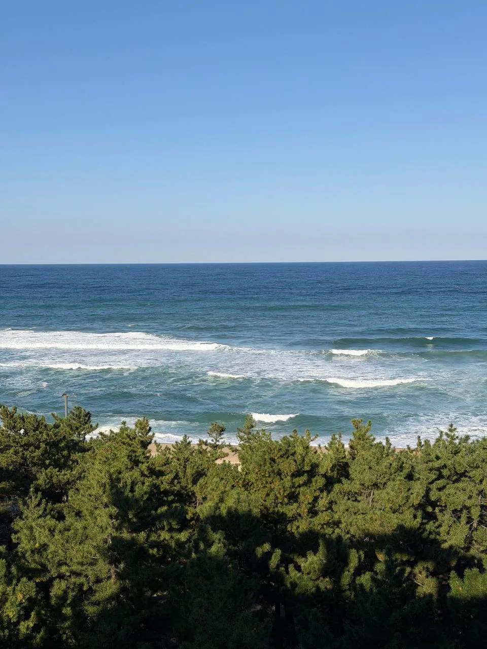 В двух часах езды от Сеула располагается город Каннын (Gangneung). Добралась на поезде ...