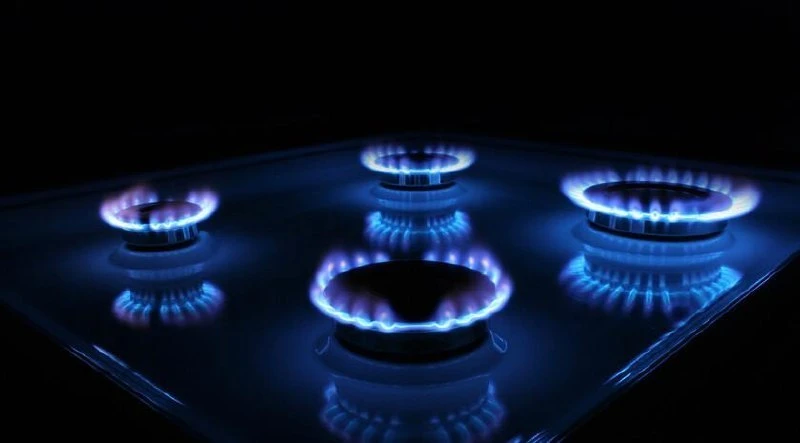 Starting from 2027, state regulation of prices for gas equipment maintenance will be in...