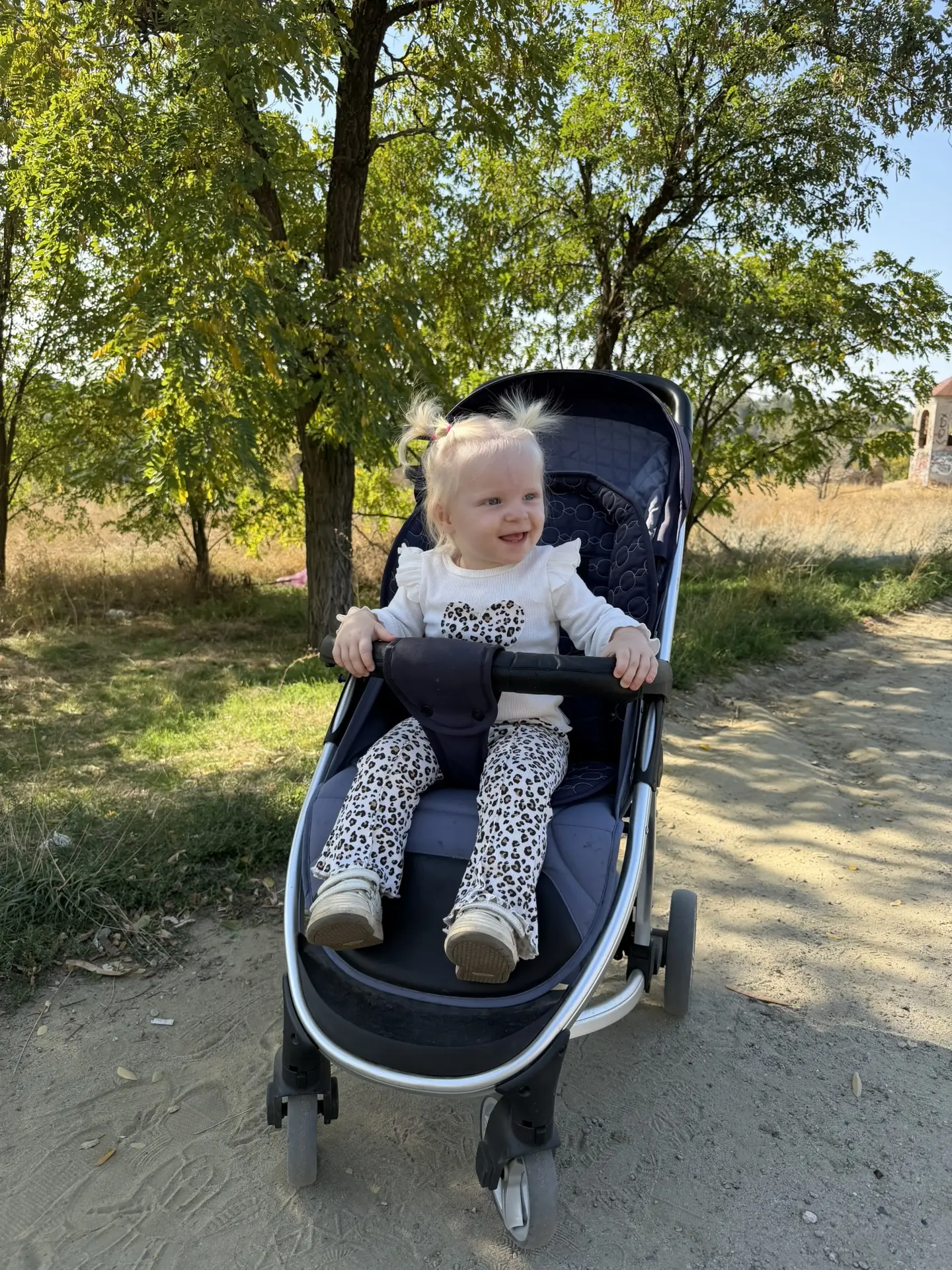 Но жизнь продолжается, пойдем мы гулять чтобы отвлечься от грустных мыслей.
