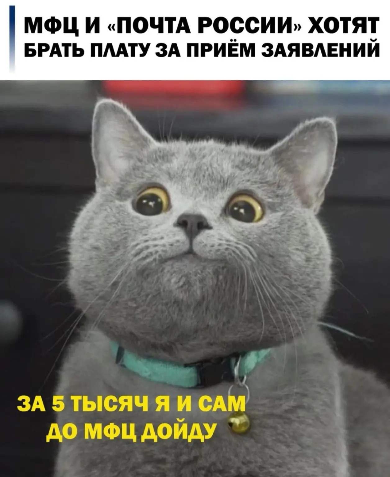 📮 Минцифры опубликовало проект постановления: за приём заявлений на госуслуги и достав...