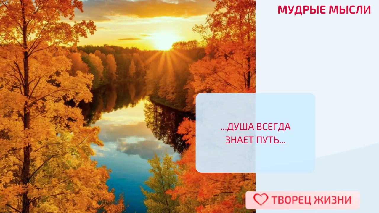 👼 Душа всегда знает путь, даже когда разум заблудился (К. Юнг)
