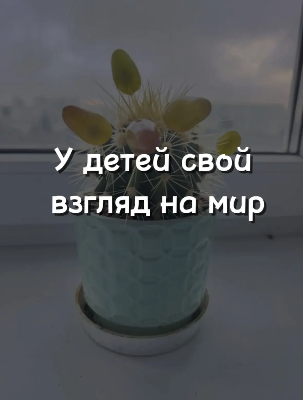 Я открываю занавеску и вижу кактус. Удивляюсь: на нем появился виноград. Спрашиваю заче...