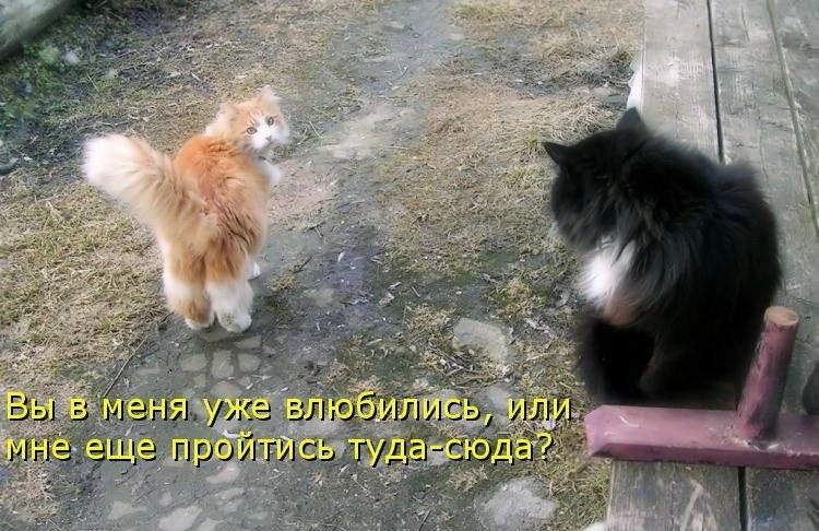 Читатели, вопрос вас также касается.