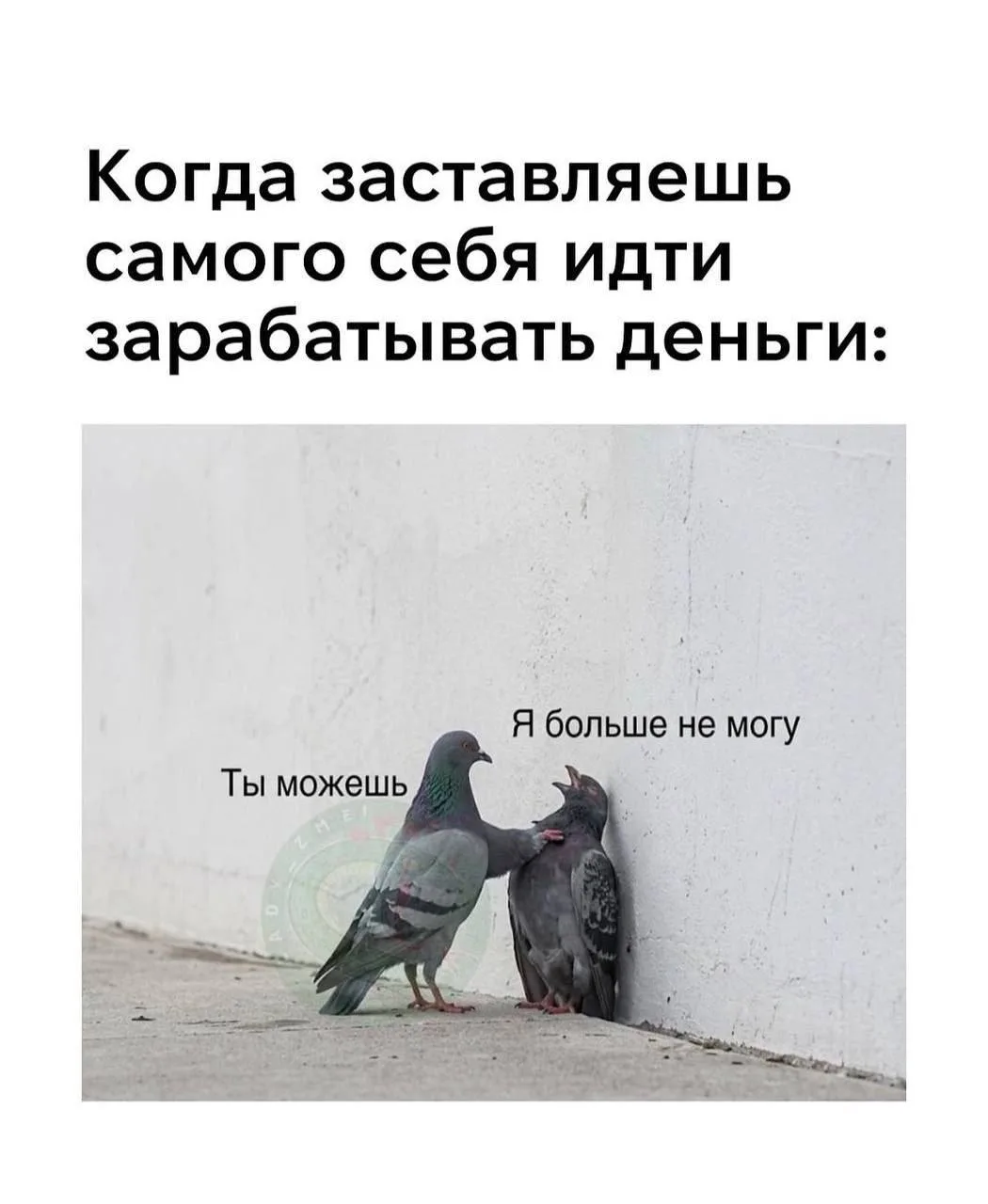 #мемдня