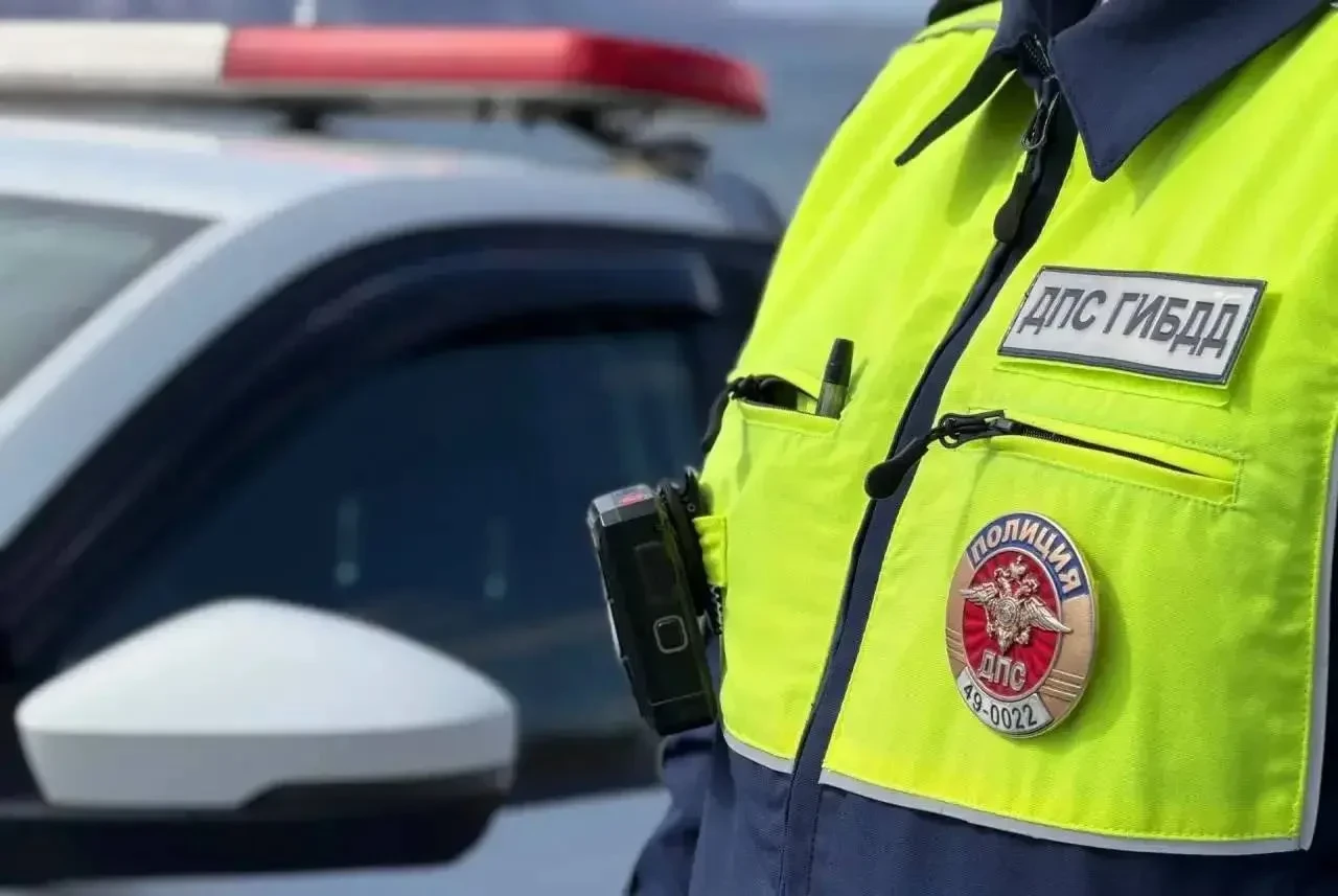 🚔 Нетрезвая автоледи и сопротивлявшийся муж попались в Магадане