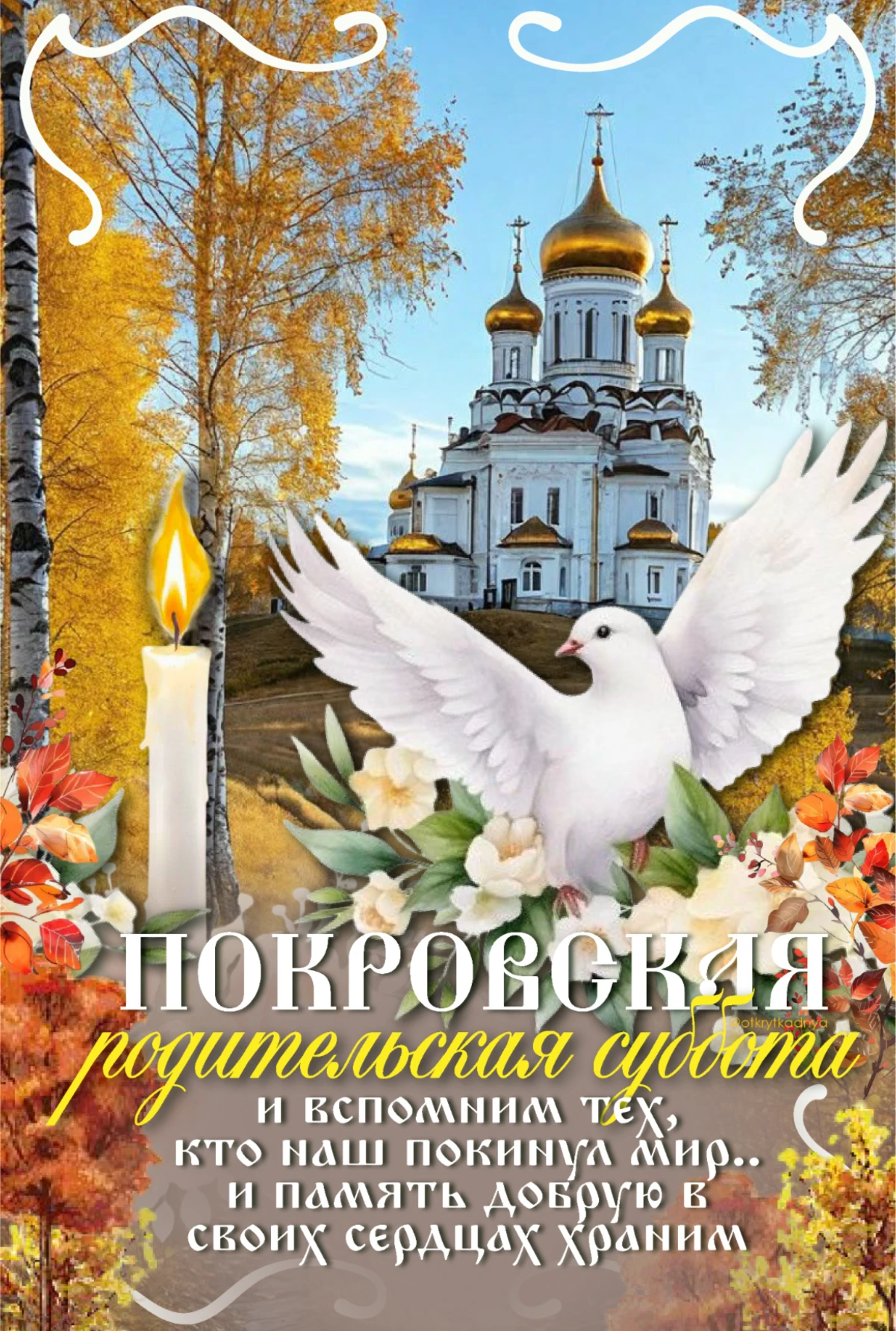 🎀 Красивые открытки