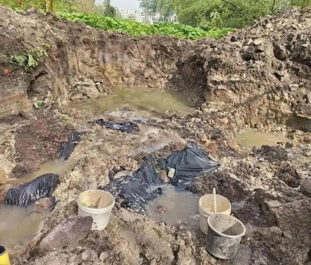 В Ленинградской области нашли массовое захоронение замученных эстонскими и немецкими на...