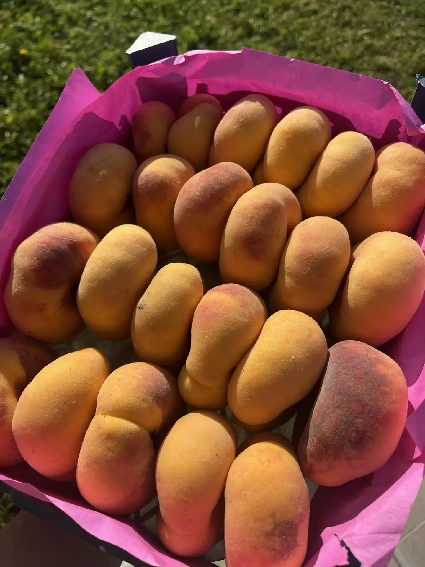 🍑 Сладкие персики по сладкой цене!