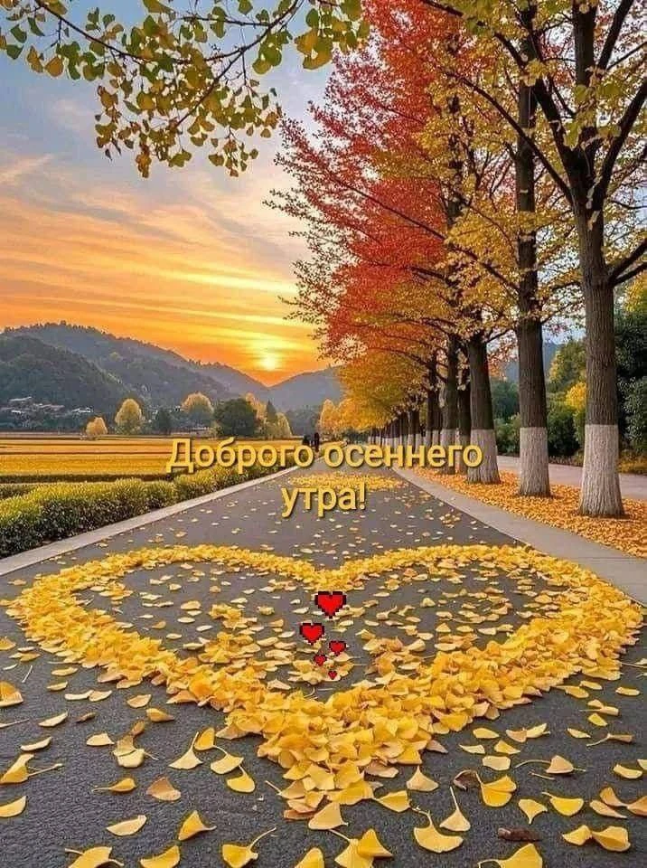 💥ПОСЛАНИЕ ДНЯ💥