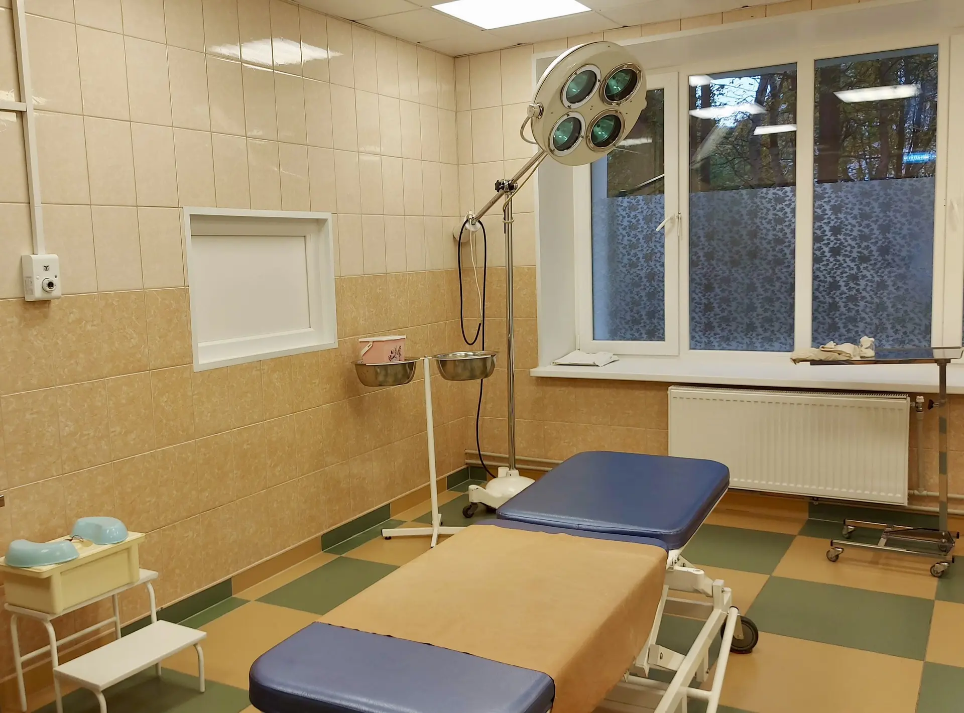 Мониторинг заболеваемости в апатитских школах показывает, что этой осенью ситуация с ОР...