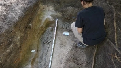 В Лухе у Воскресенской церкви нашли захоронения XVII–XVIII веков 🤯