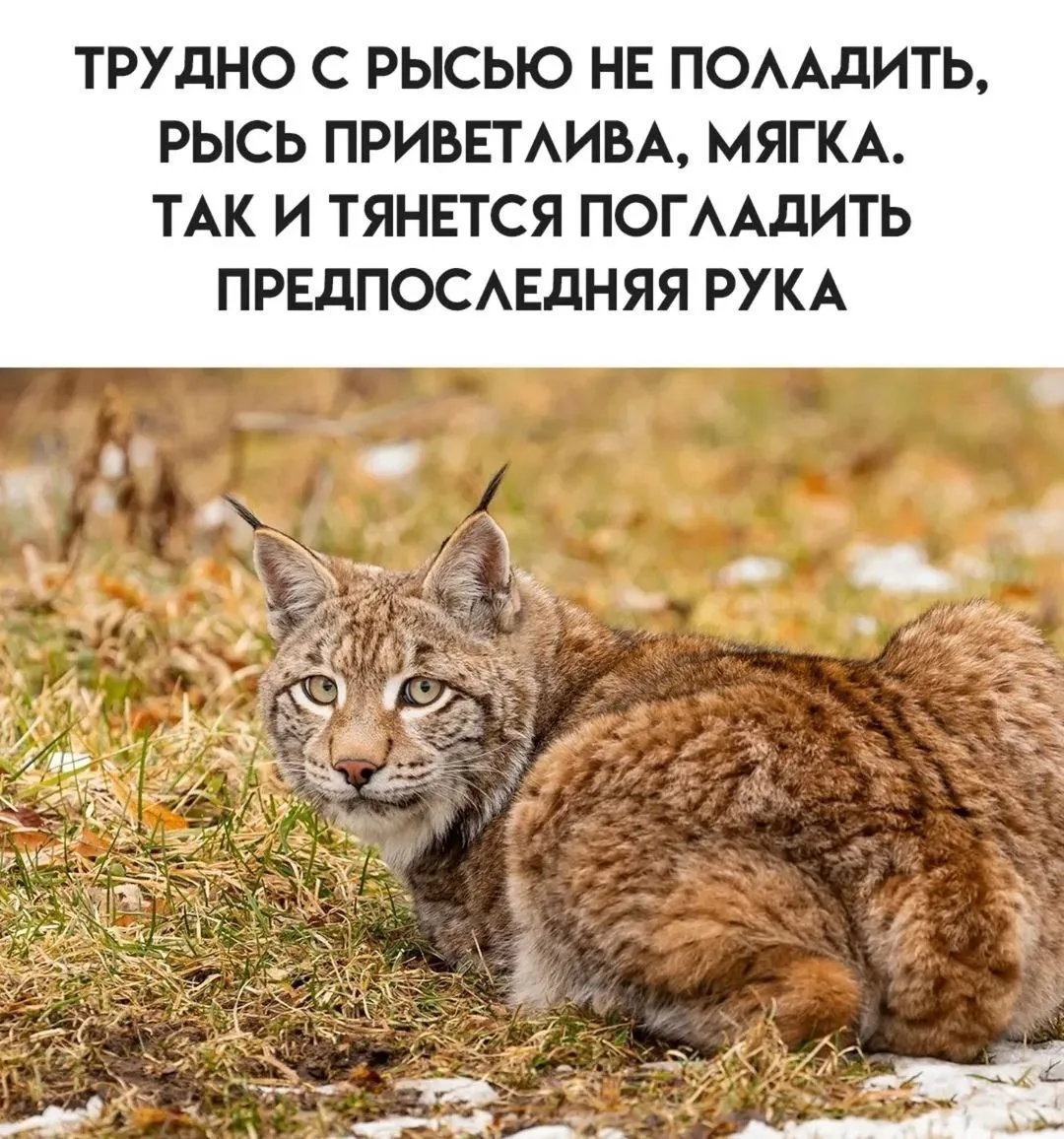 #зоологи_шутят