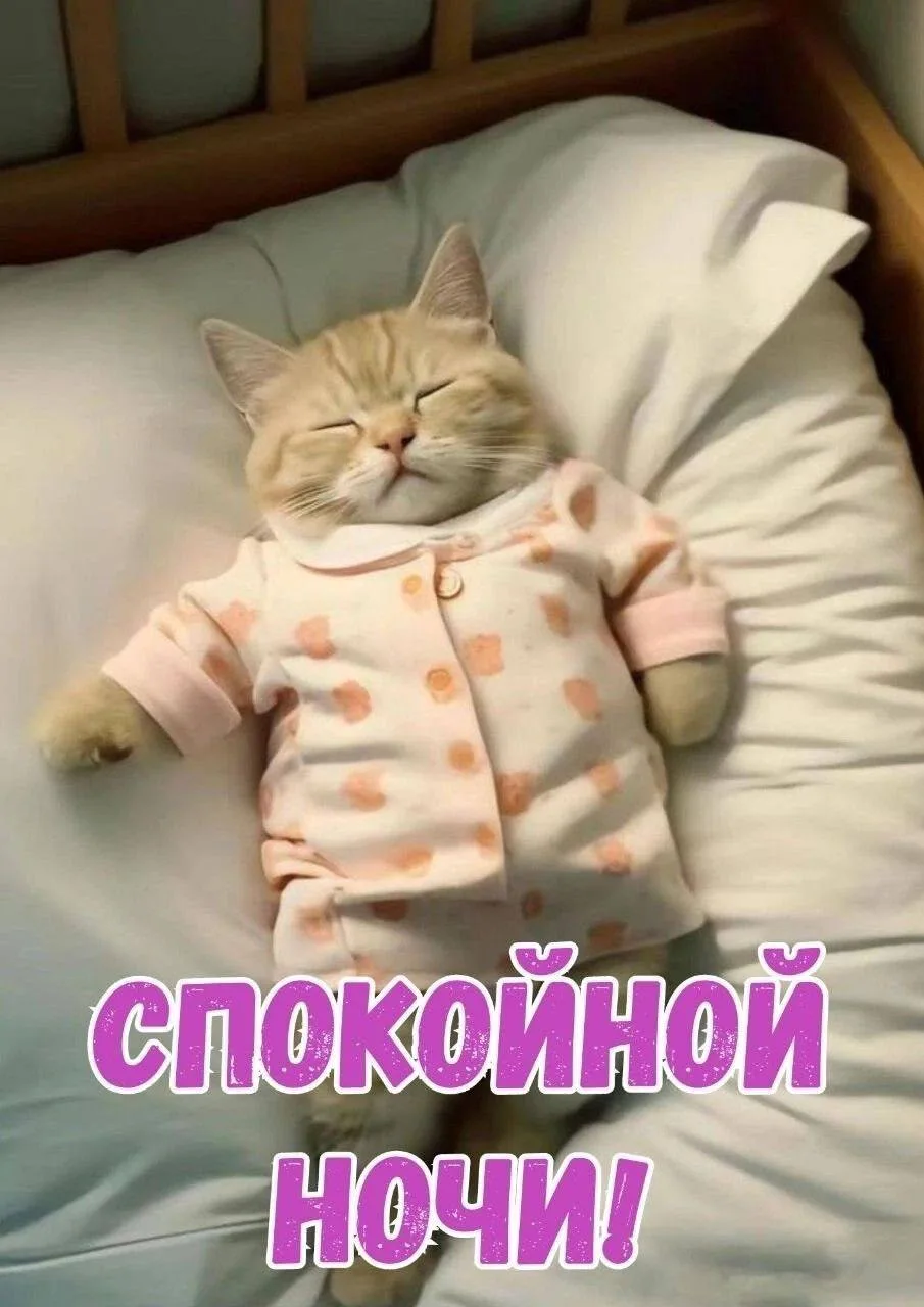 @tekstilshik_inf