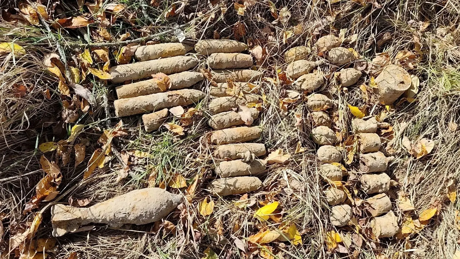 В Ельнинском округе изъяли и обезвредили 45 взрывоопасных предметов времен Великой Отеч...
