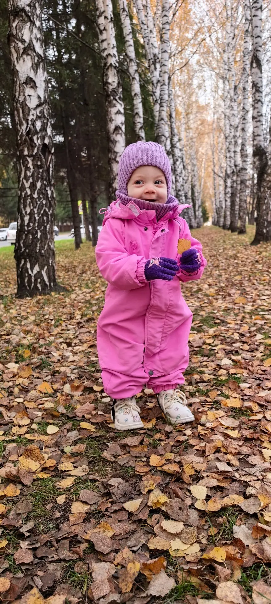 🍂