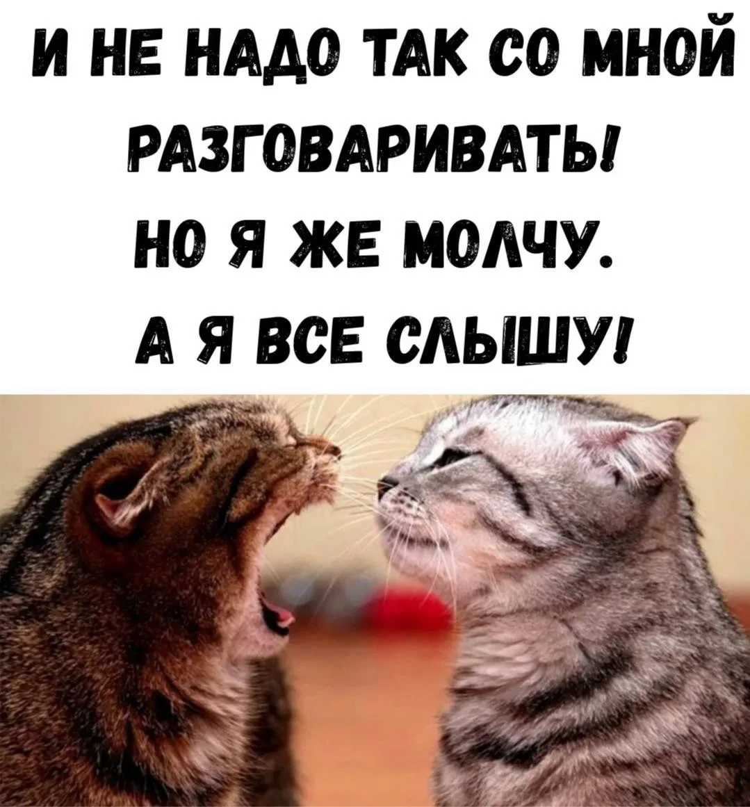 👉 Веселый Трутень 🐝