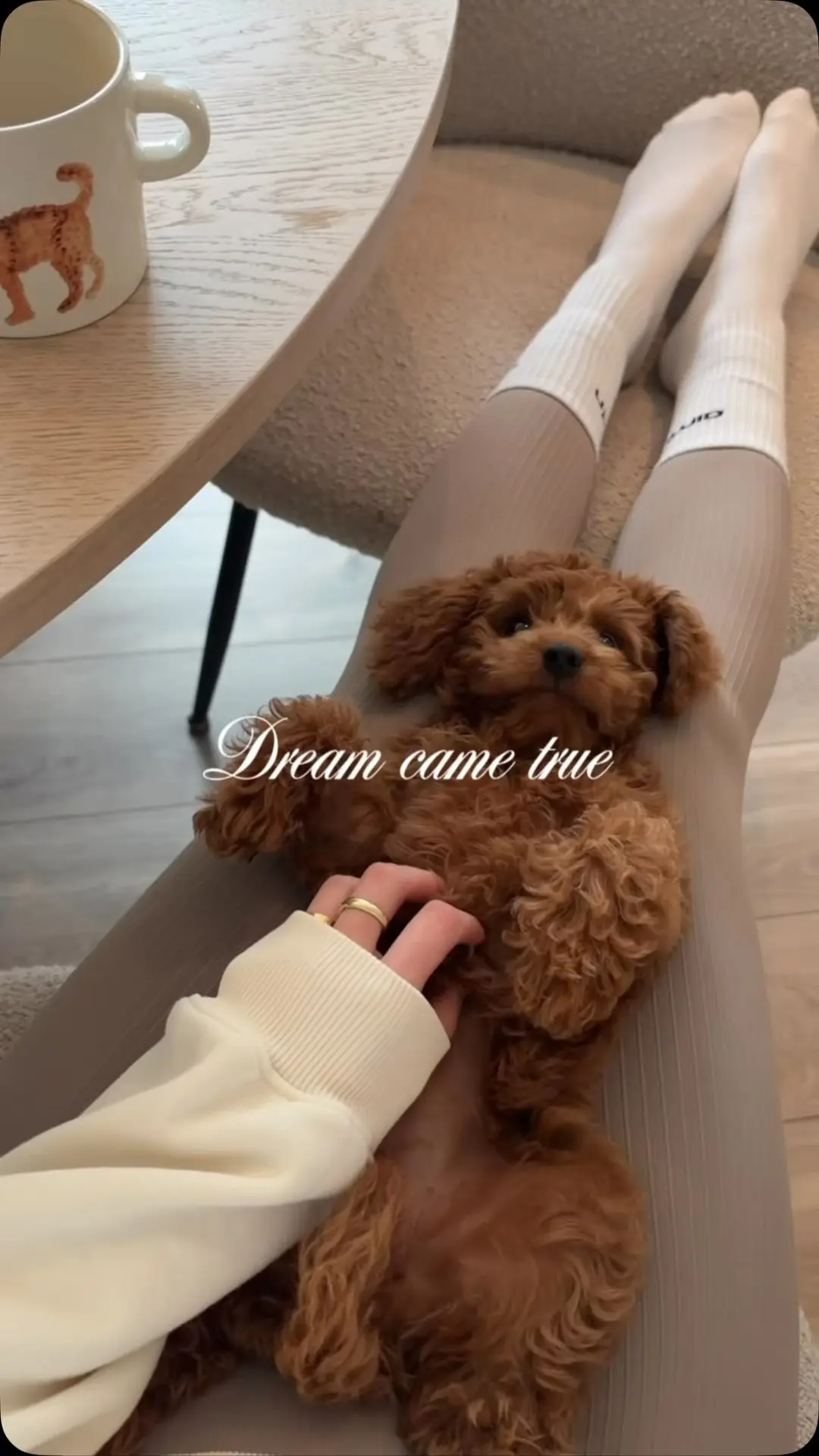 🐶♥️