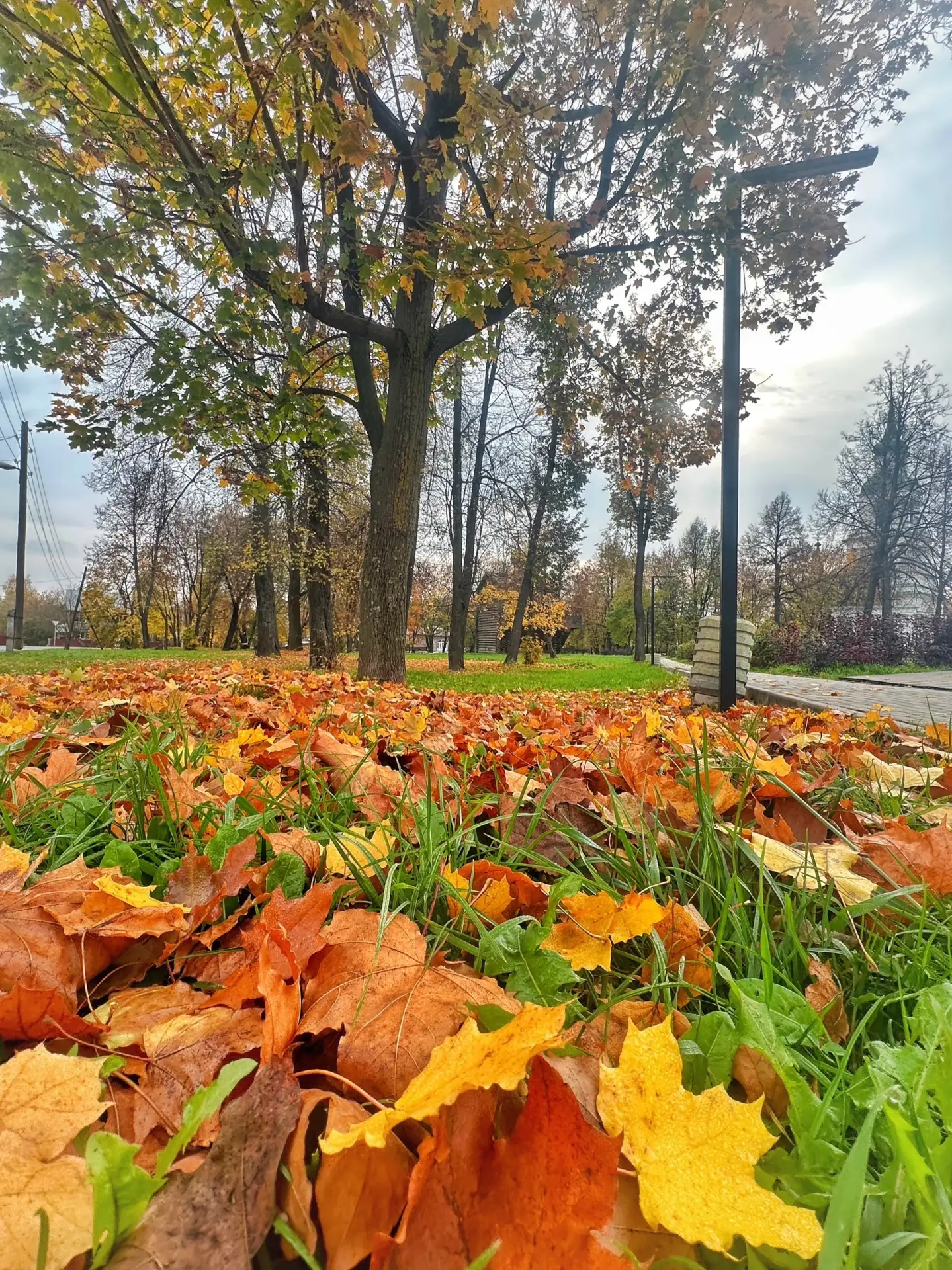 Доброе субботнее утро, друзья.😉