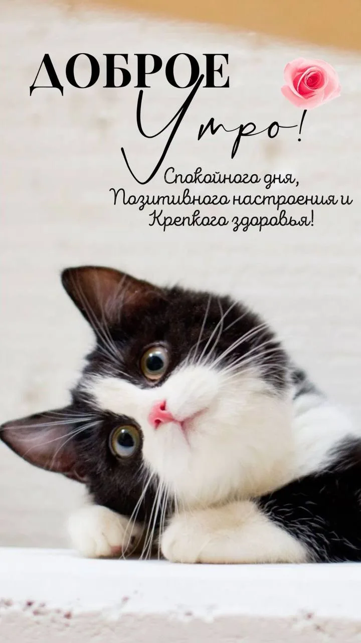 ‼️БУДЬ В КУРСЕ-@tekstilshik_inf