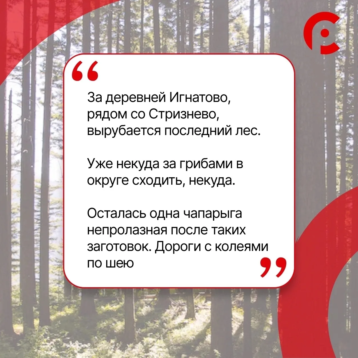 #КорниВологодчины