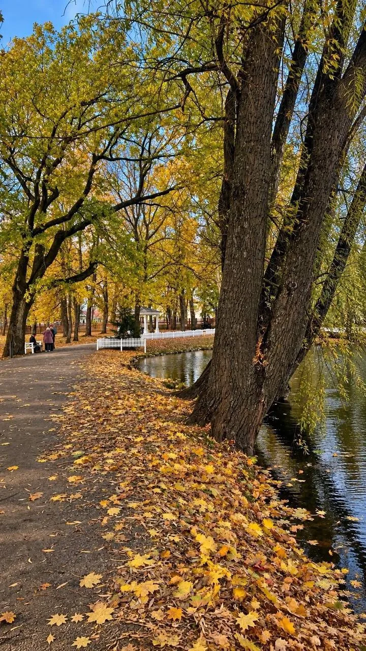 🍁 Золотая осень в Большом Болдино 🍃