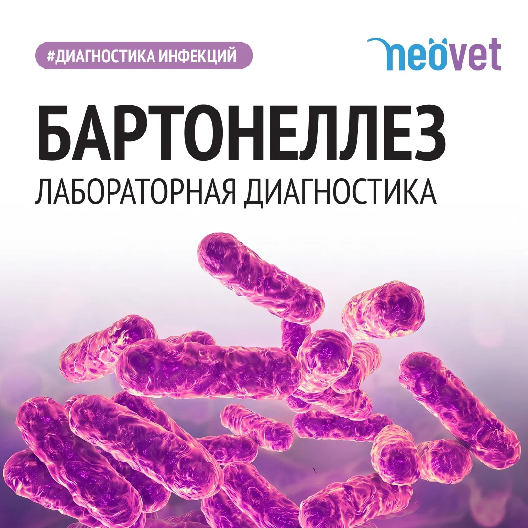 #диагностика_инфекций