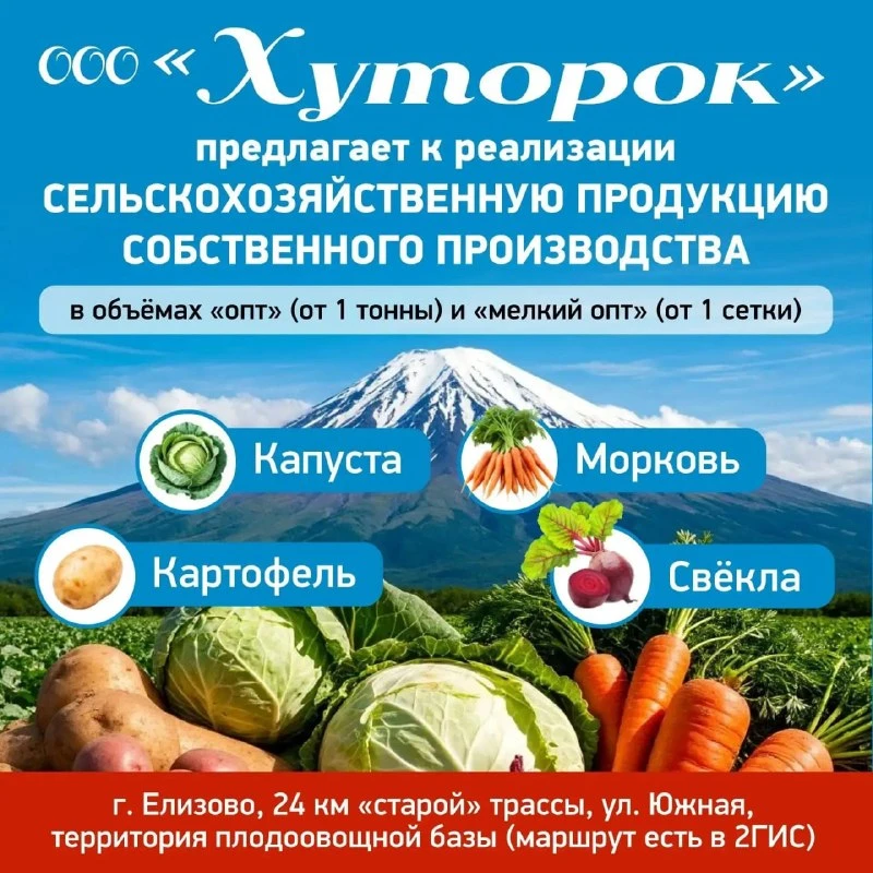 ООО «Хуторок» предлагает к реализации сельскохозяйственную продукцию собственного произ...