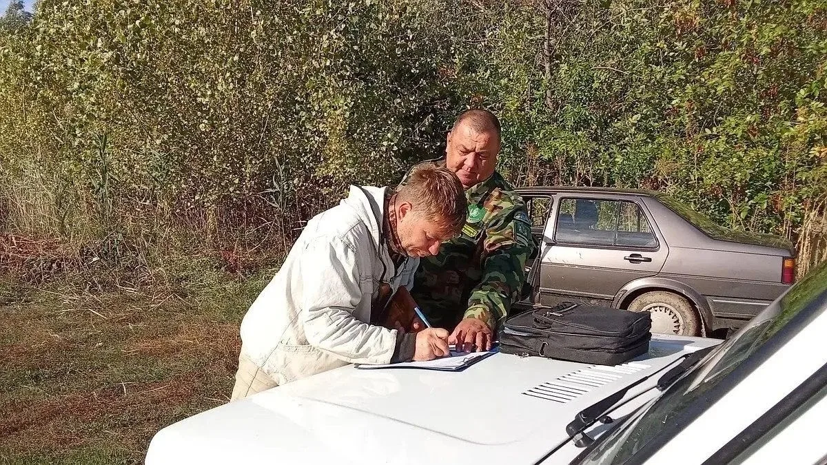 ​Инспекторы нашли нарушения лесного законодательства в двух районах области