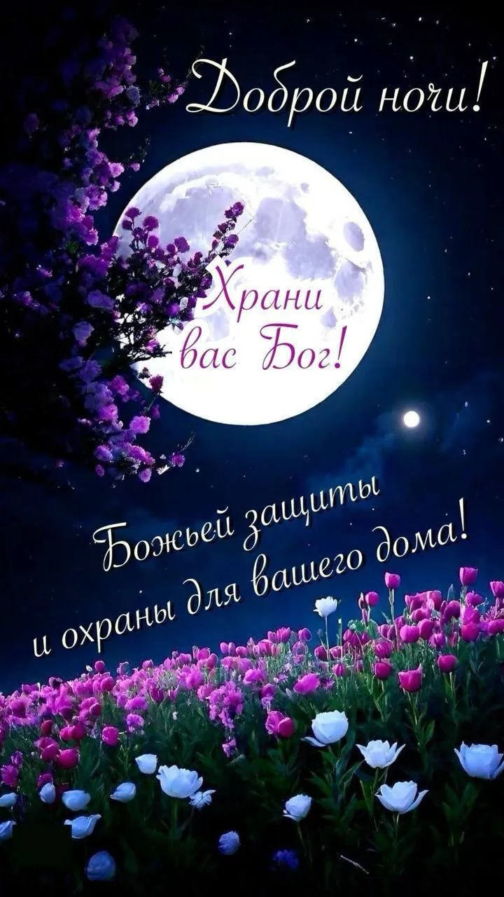 @pozdraf