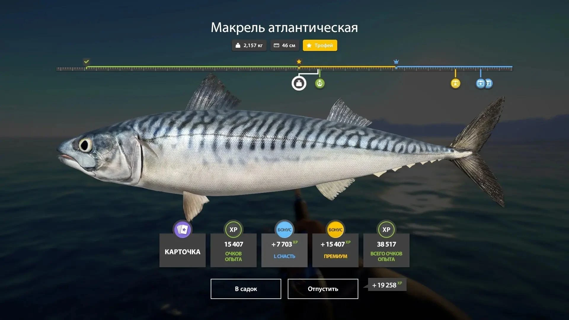 #норвежское@rr4pepper