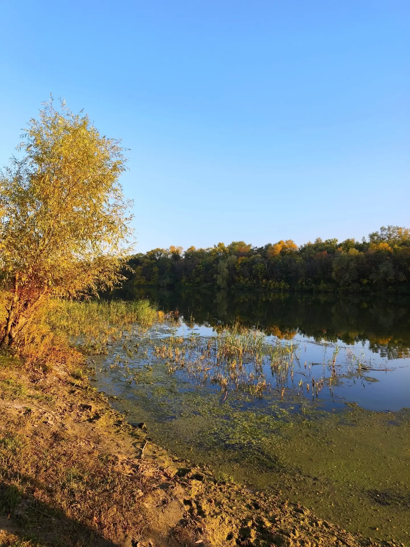 Осенняя рыбалка на канале с семьей