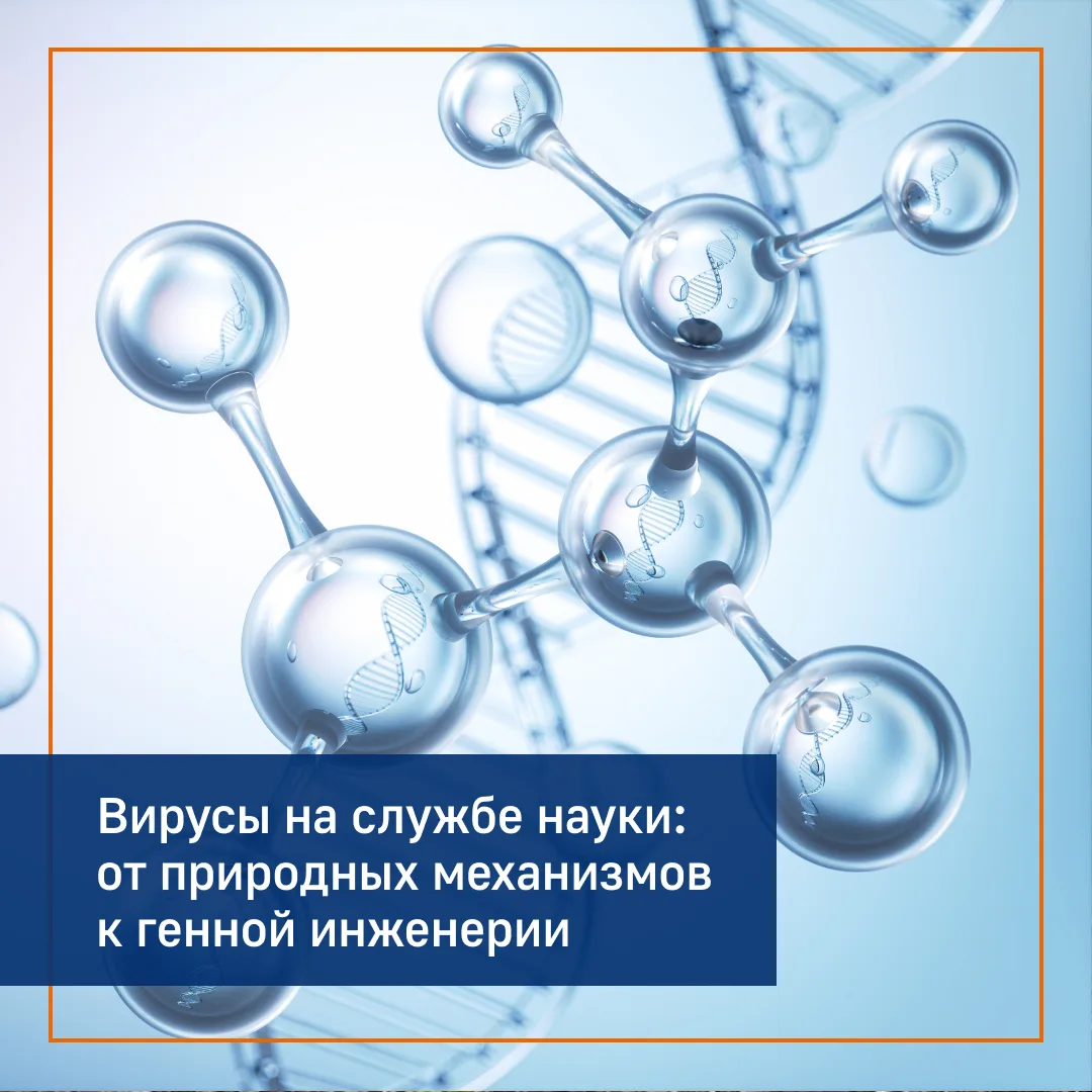 С Днём признания вирусов!