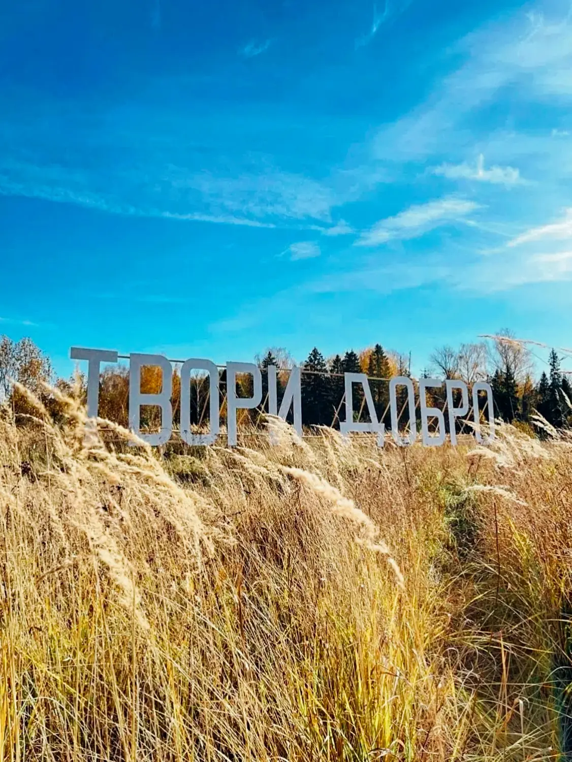 🍂 В пригороде Йошкар-Олы появилась ещё одна надпись.
