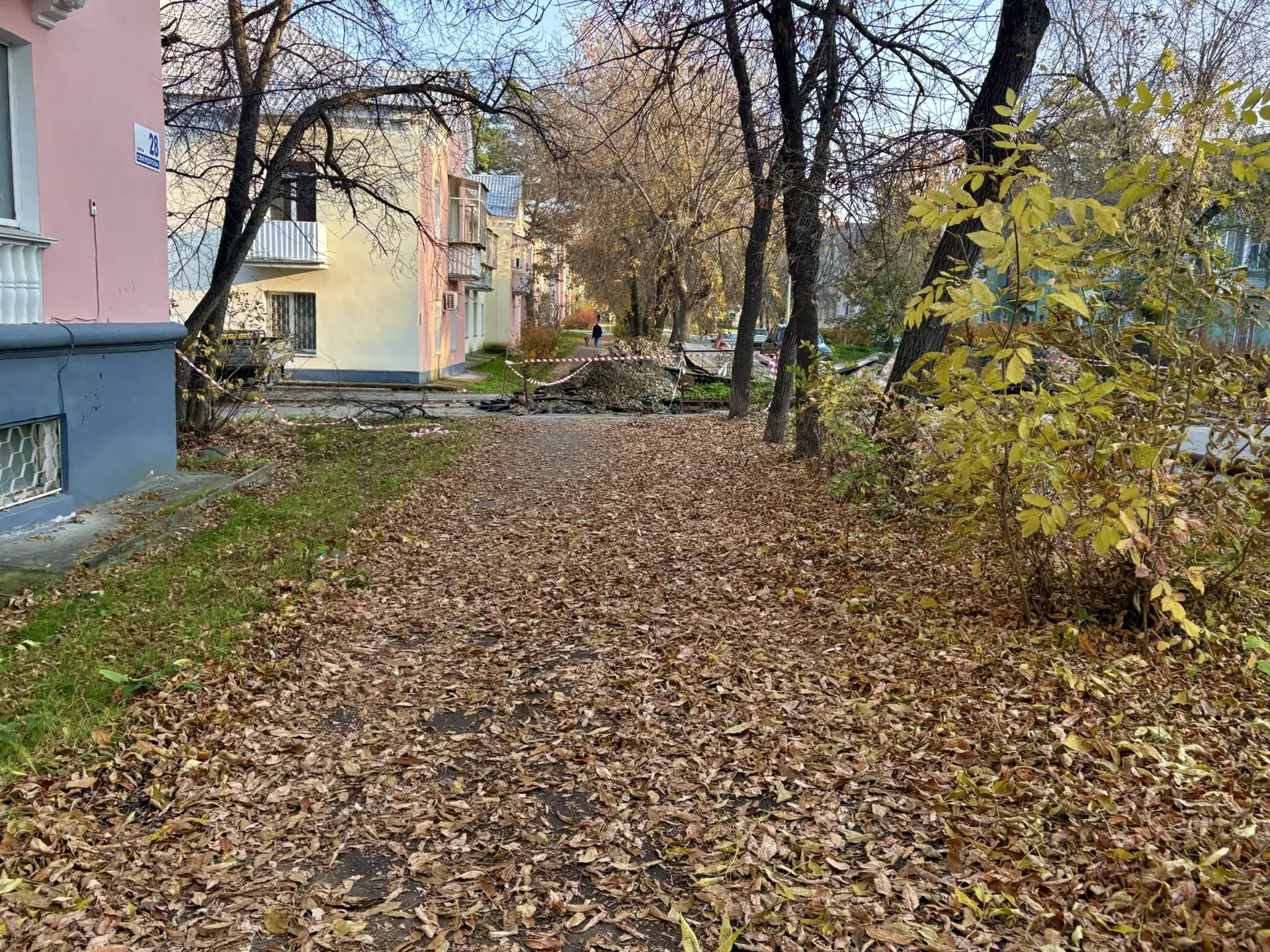 Доброе утро.