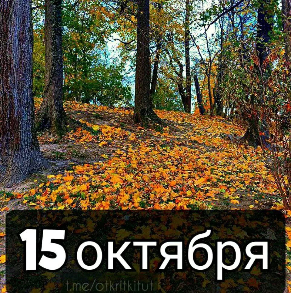 Праздники 15 октября 🗓️