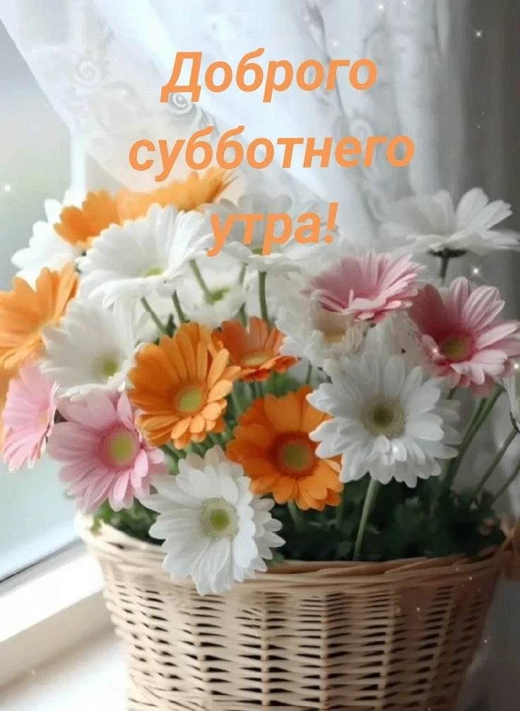 Делитесь открыткой с друзьями и поддерживайте реакцией