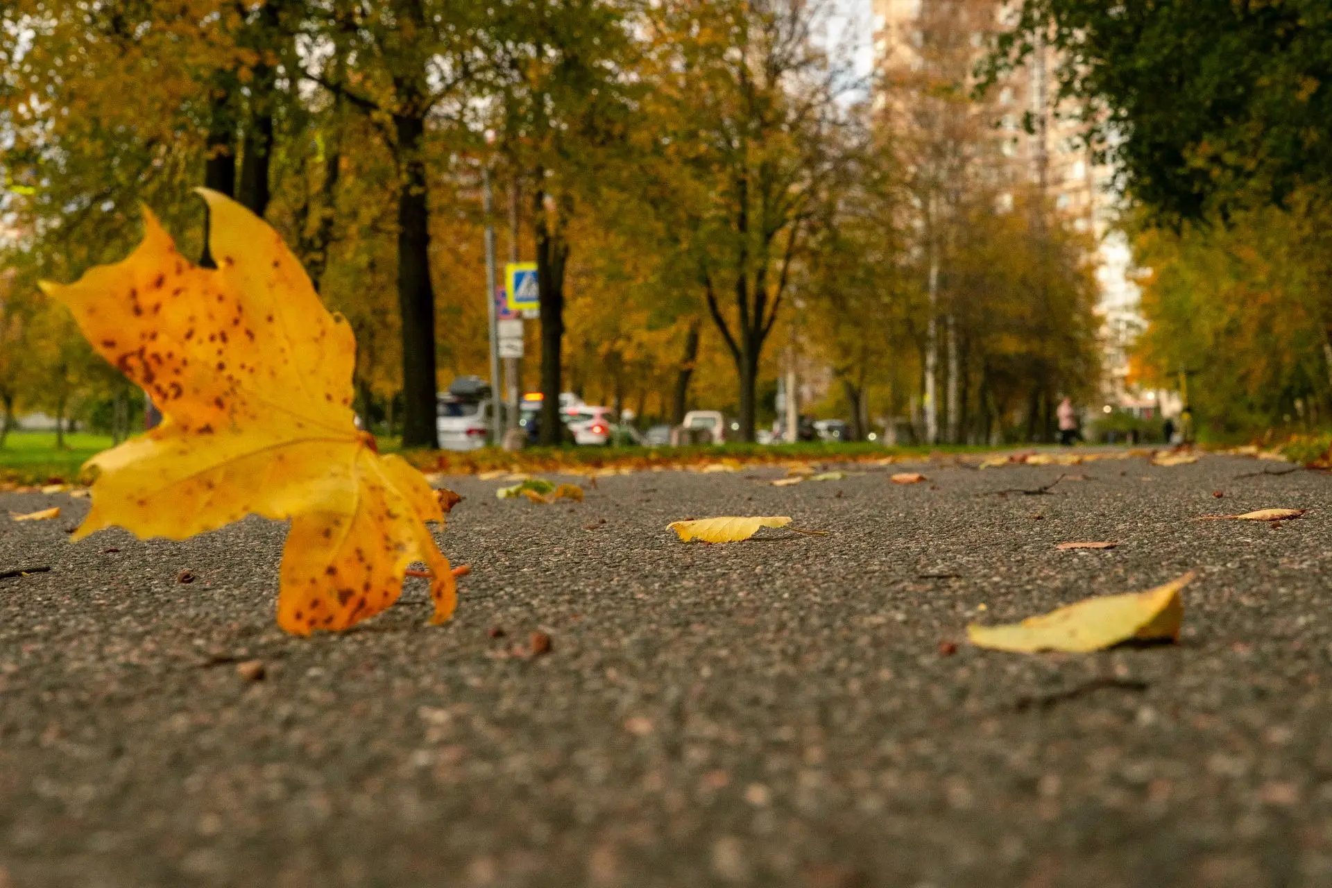🍁 Погода за окном намекает нам замедлиться. Небо будет хмуриться весь день, но мы-то з...