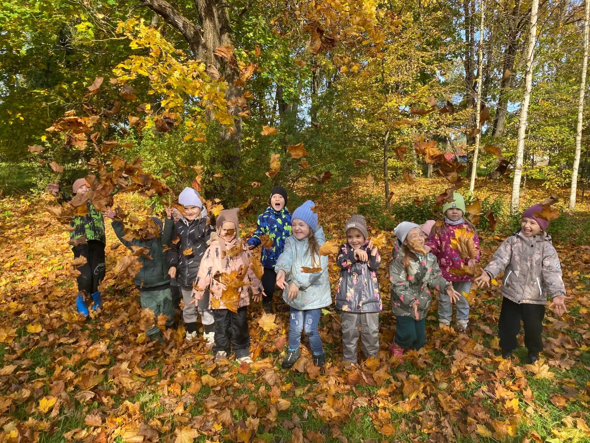 Разбросала осень листья 🍂                                            Разукрасила их ки...