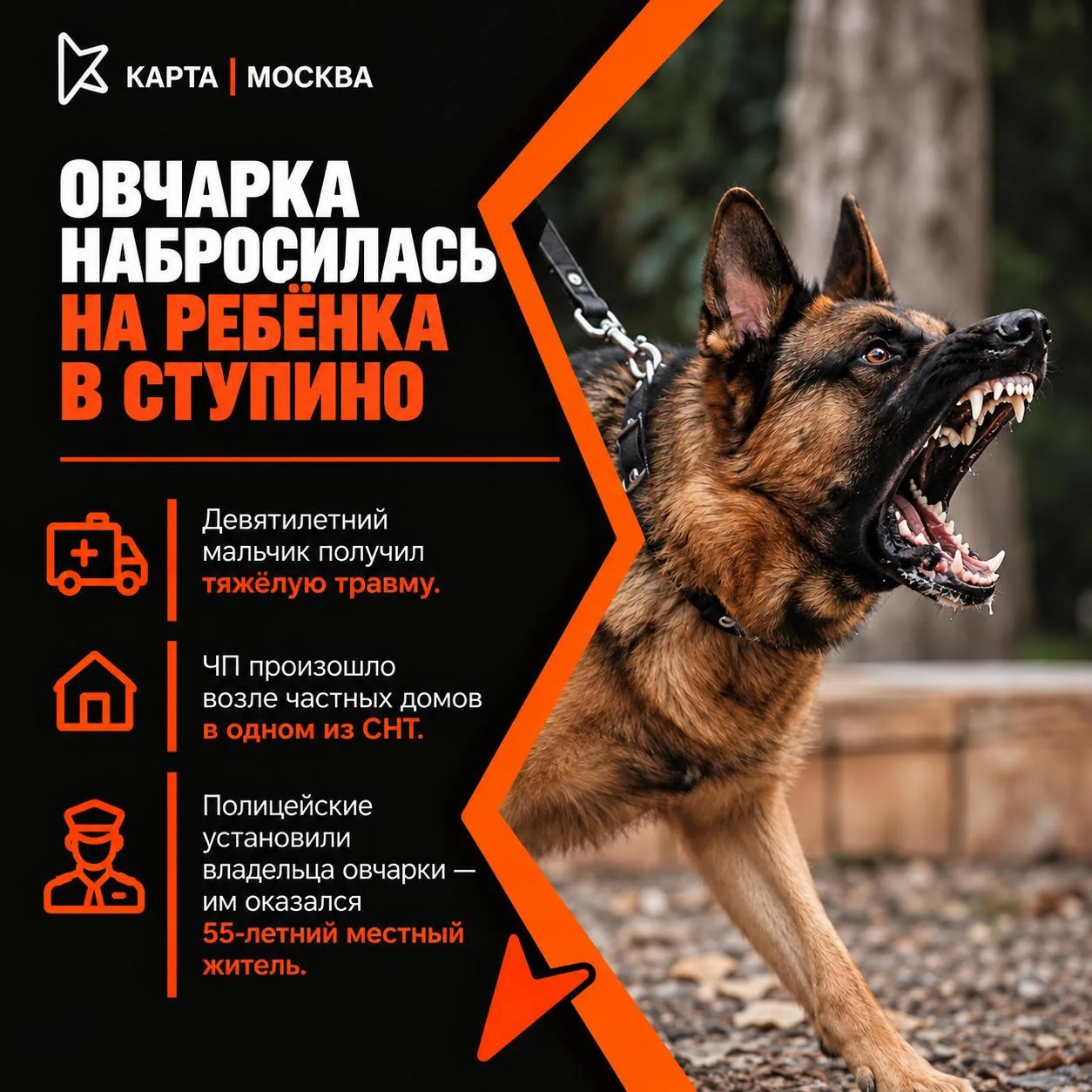 Главное за 10 октября 2026