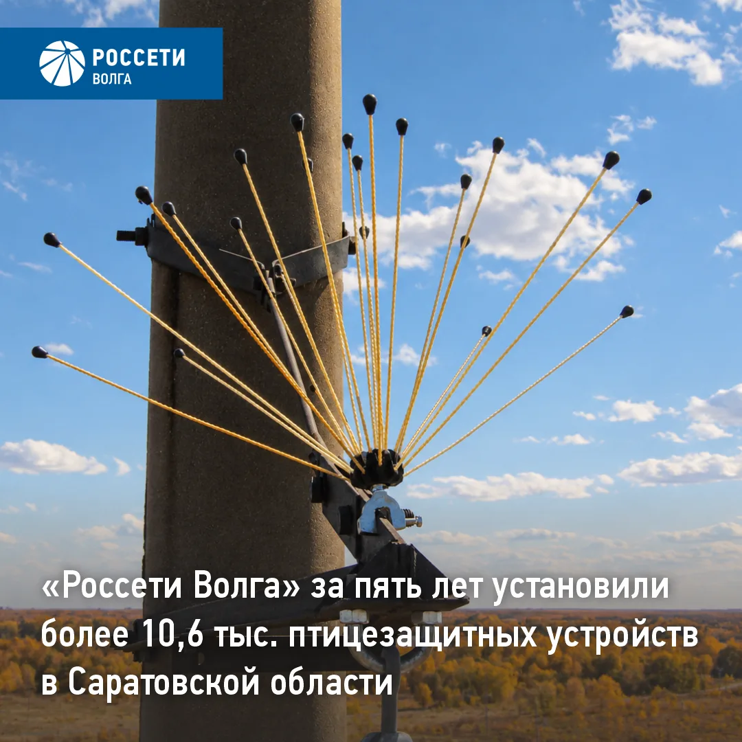«Россети Волга» за пять лет установили более 10,6 тыс. птицезащитных устройств в Сарато...