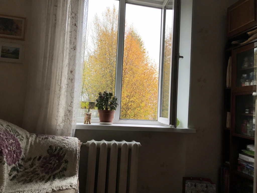 ОТКРЫВАЮ ОКНА ОСЕНЬЮ ТАК — И КВАРТИРА НЕ ВЫСТЫВАЕТ, А ВОЗДУХ СВЕЖИЙ