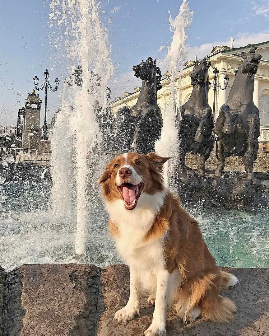 Москвич на Манежной