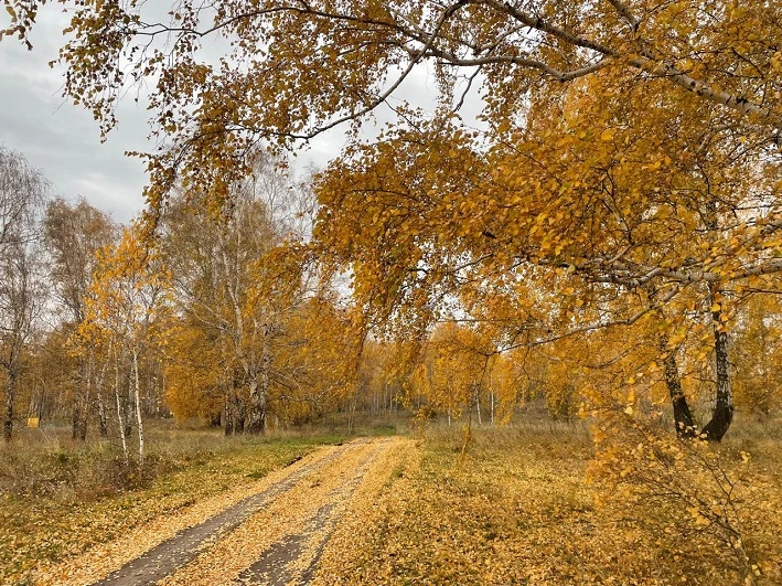 🍁По данным Башгидромета, 14 октября на территории республики переменная облачность. Бе...