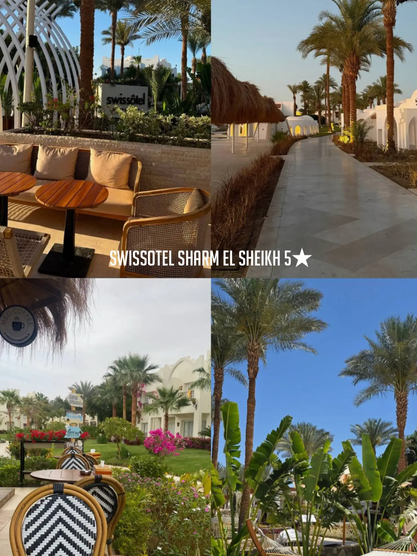 7 ОТЕЛЕЙ ЕГИПТА, КОТОРЫЕ ПОЛУЧАЮТ 10 ИЗ 10 ОТ НАШИХ ТУРИСТОВ 🇪🇬