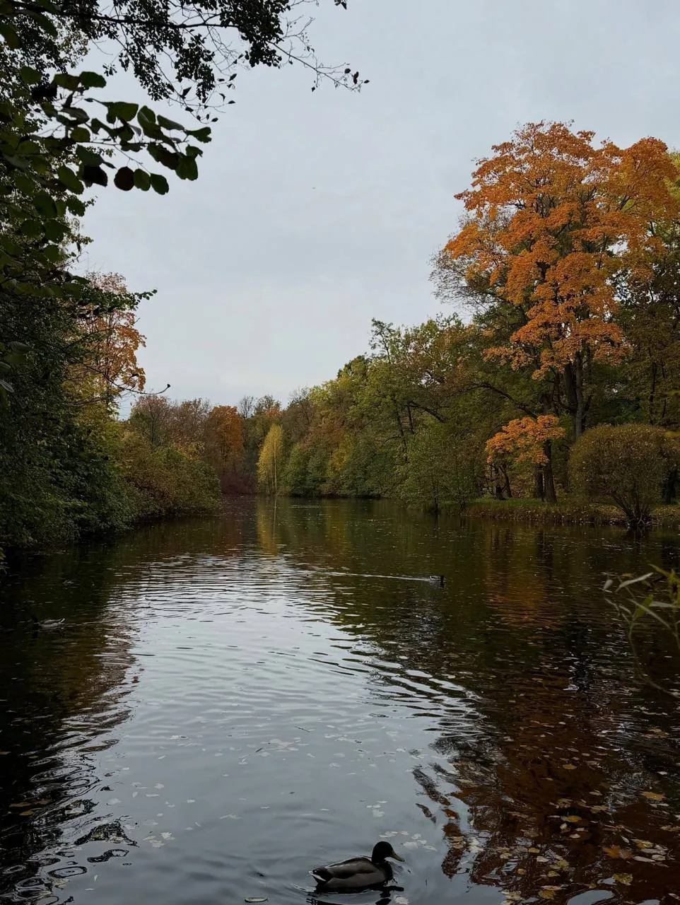 Место для осенней прогулки, где красиво на каждом шаге